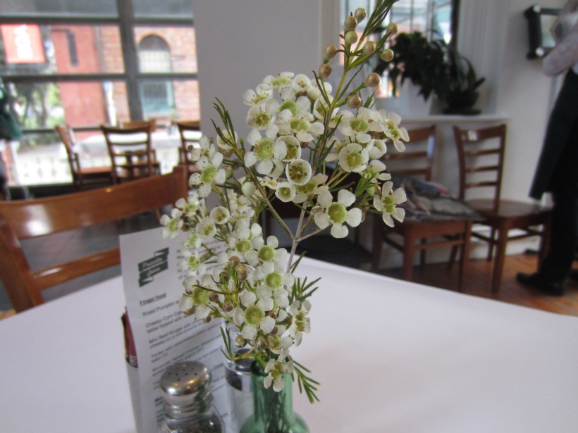 Ring a ring a rosies, a pocketful of posies