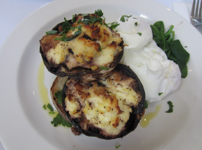 I never meant to give you mushrooms girl...